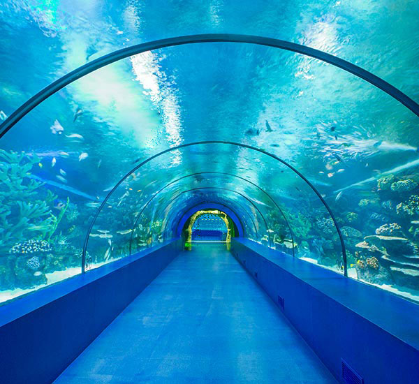 Aquarium & Antalya