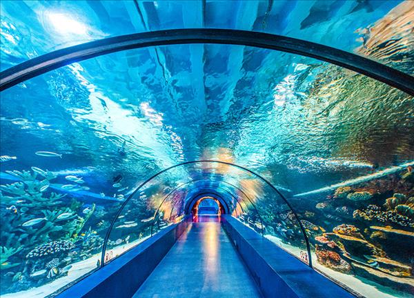  Aquarium Eintritt