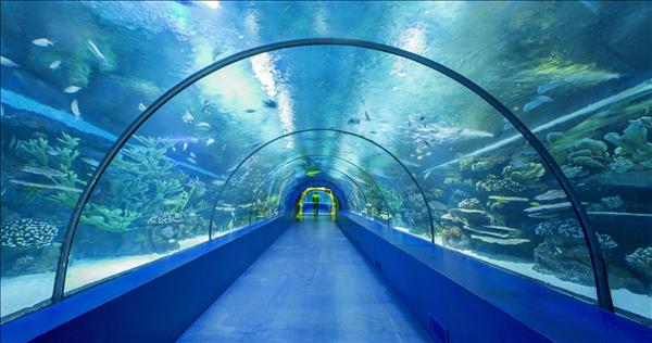 Aquarium & Antalya
