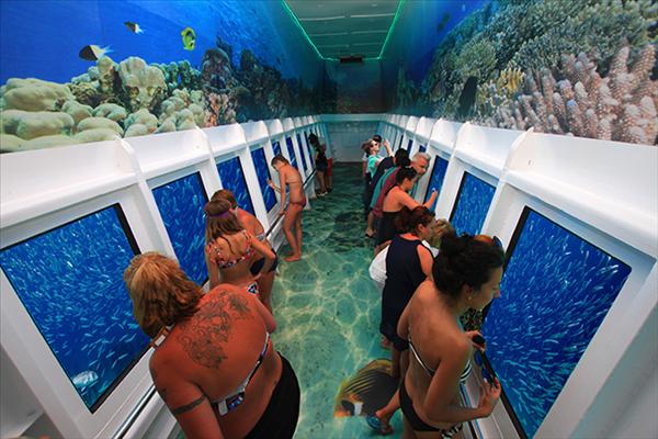 Finding Nemo (Marmaris)