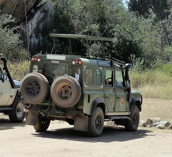 Jeep Safari 