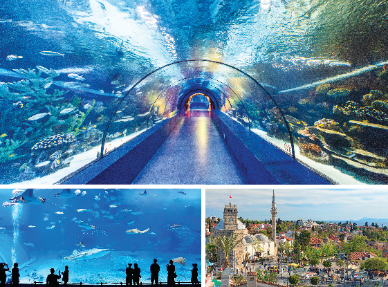 VIP Aquarium & Antalya